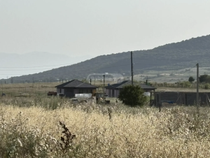 იყიდება სასოფლო სამეურნეო მიწის ნაკვეთი დუშეთის მუნივიპალიტეტში